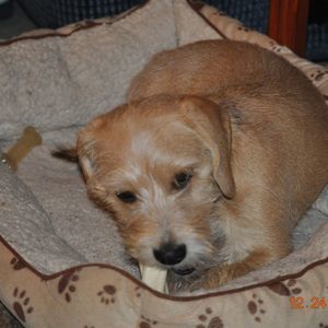 Meet your Posher, Sandy